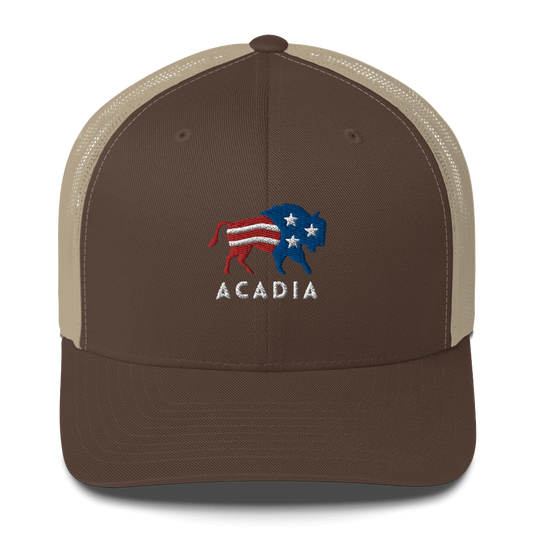 Acadia National Park Bison Hat