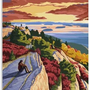 Acadia Cadillac Mountain Art Print