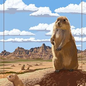 Badlands National Park Prairie Dogs Poster