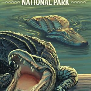 Everglades National Park Alligator Poster