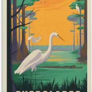 Everglades National Park Egret Poster