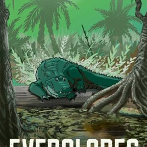 Everglades National Park Florida Alligator Poster