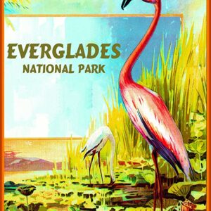 Everglades National Park Florida Flamingo Print