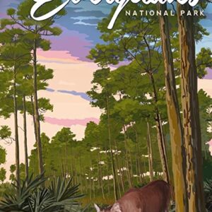 Everglades National Park Panther Poster