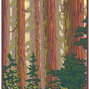 Giant Redwoods Poster