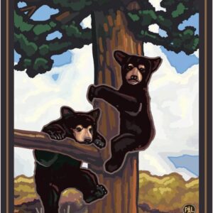 Glacier National Park Two Bears Poster