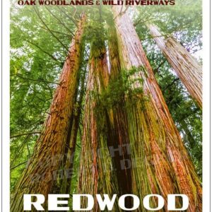 National Park Service Redwood National Park Poster