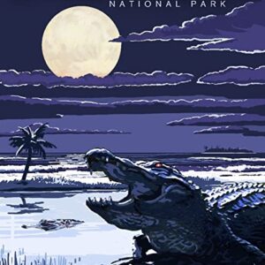 Night Everglades National Park Gator Print