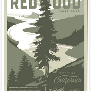 Redwood National Park California Greenscale Poster
