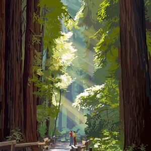 Redwood National Park Trees Poster