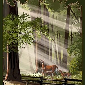 Redwoods Avenue Of The Giants Poster