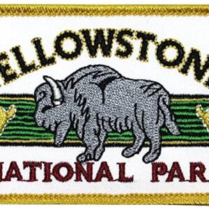 Yellowstone National Park Bison Patch