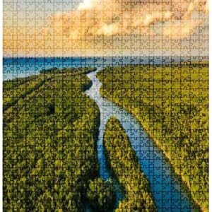 1000 Piece Everglades National Park Puzzle