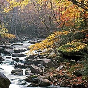 1000 Piece Great Smoky Mountains National Park Little River Puzzle