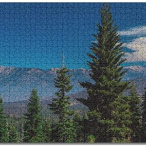 1000 Piece Sequoia National Park Puzzle