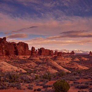 1000 Piece Wooden Arches National Park Jigsaw Puzzle