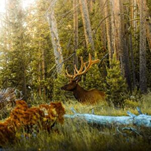 1000 Piece Yellowstone National Park Elk Puzzle