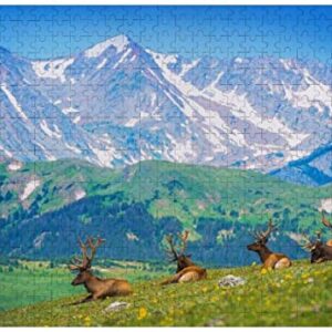 300 Piece Rocky Mountain National Park Puzzle