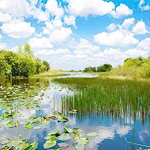 500 Piece Everglades National Park Puzzle