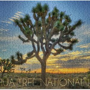 500 Piece Joshua Tree National Park Puzzle