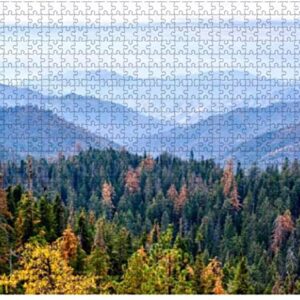 500 Piece Sequoia National Park Autumn Puzzle