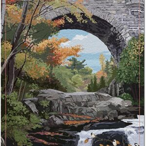 Acadia National Park Bridge Puzzle