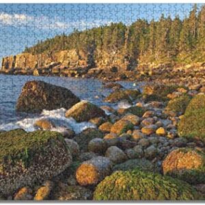 Acadia National Park Shoreline Puzzle