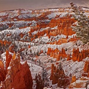 Bryce Canyon National Park Winter Puzzle
