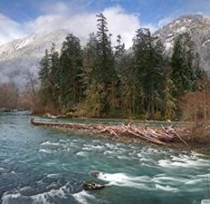Elwha River Olympic National Park Jigsaw Puzzle