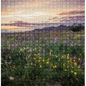 Joshua Tree California Wildflower Sunset Puzzle