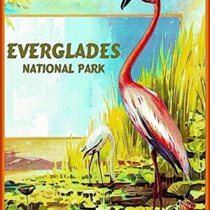Kids Everglades National Park Puzzle