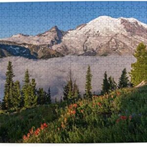 Mount Rainier National Park 500 Piece Puzzle