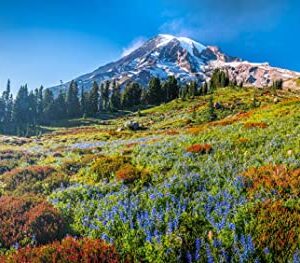 Mount Rainier National Park Washington Jigsaw Puzzle