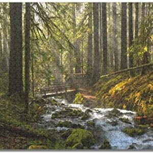 Olympic National Park Jigsaw Puzzle