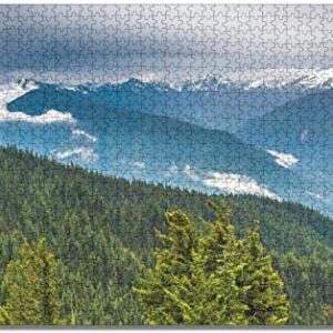 Olympic National Park Puzzle For Kids