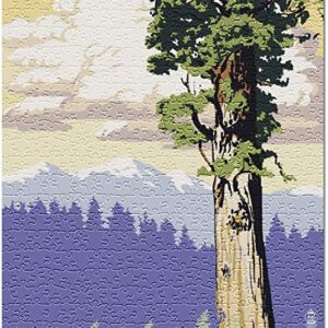 Redwood National Park California Puzzle