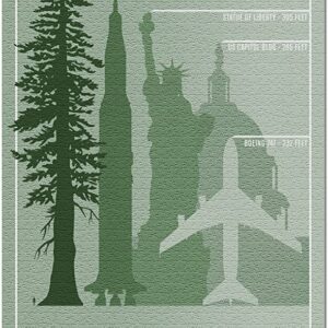 Redwood National Park Tree Size Puzzle