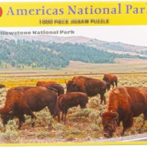 Yellowstone National Park Grazing Bison Jigsaw Puzzle
