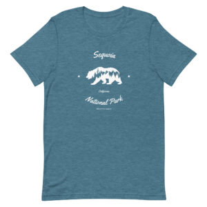 Sequoia Bear Forest T Shirt